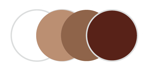 เลนส์ทรานซิชั่นสีน้ำตาล