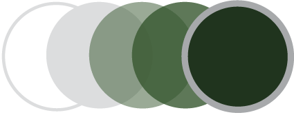 เลนส์ทรานซิชั่นสีเทาปรับแสงไว