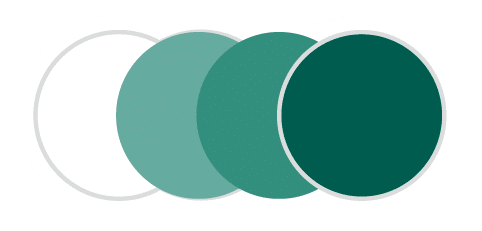 เลนส์ทรานซิชั่นสีเอ็มเมอรัล